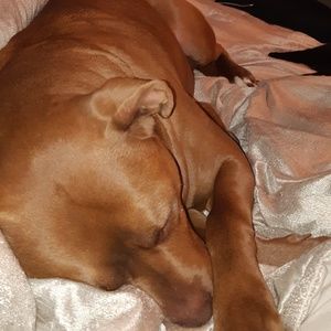 Meet your Posher, Codi